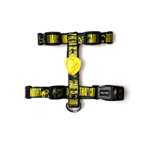 Peitoral H Batman Forever