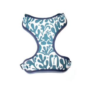 Peitoral Air Fundo do Mar