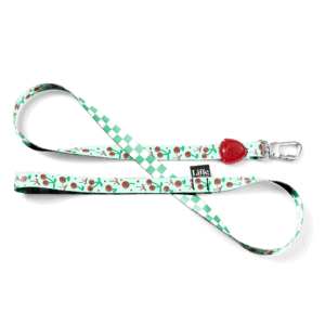 Guia Tradicional Cherry