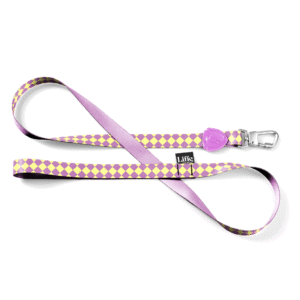 Guia Tradicional Serena