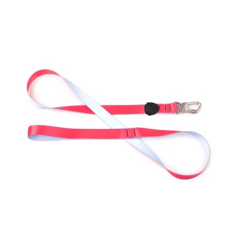 Guia Tradicional Imaginario