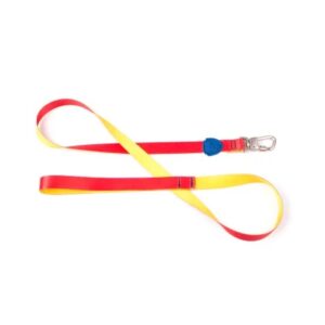 Guia Tradicional Recreio