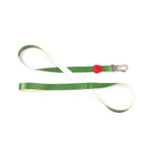 Guia Tradicional Ventura