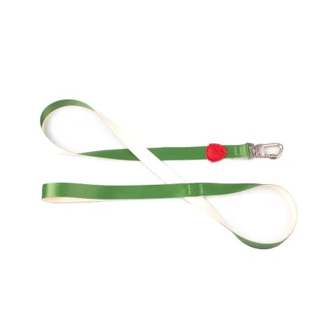 Guia Tradicional Ventura