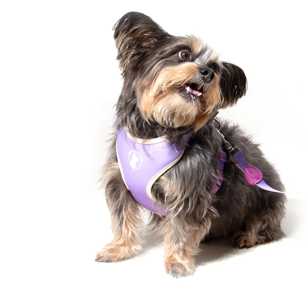 Peitoral Air Aurora - Imagem 4