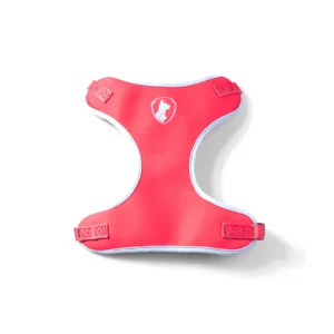 Peitoral Air Imaginário