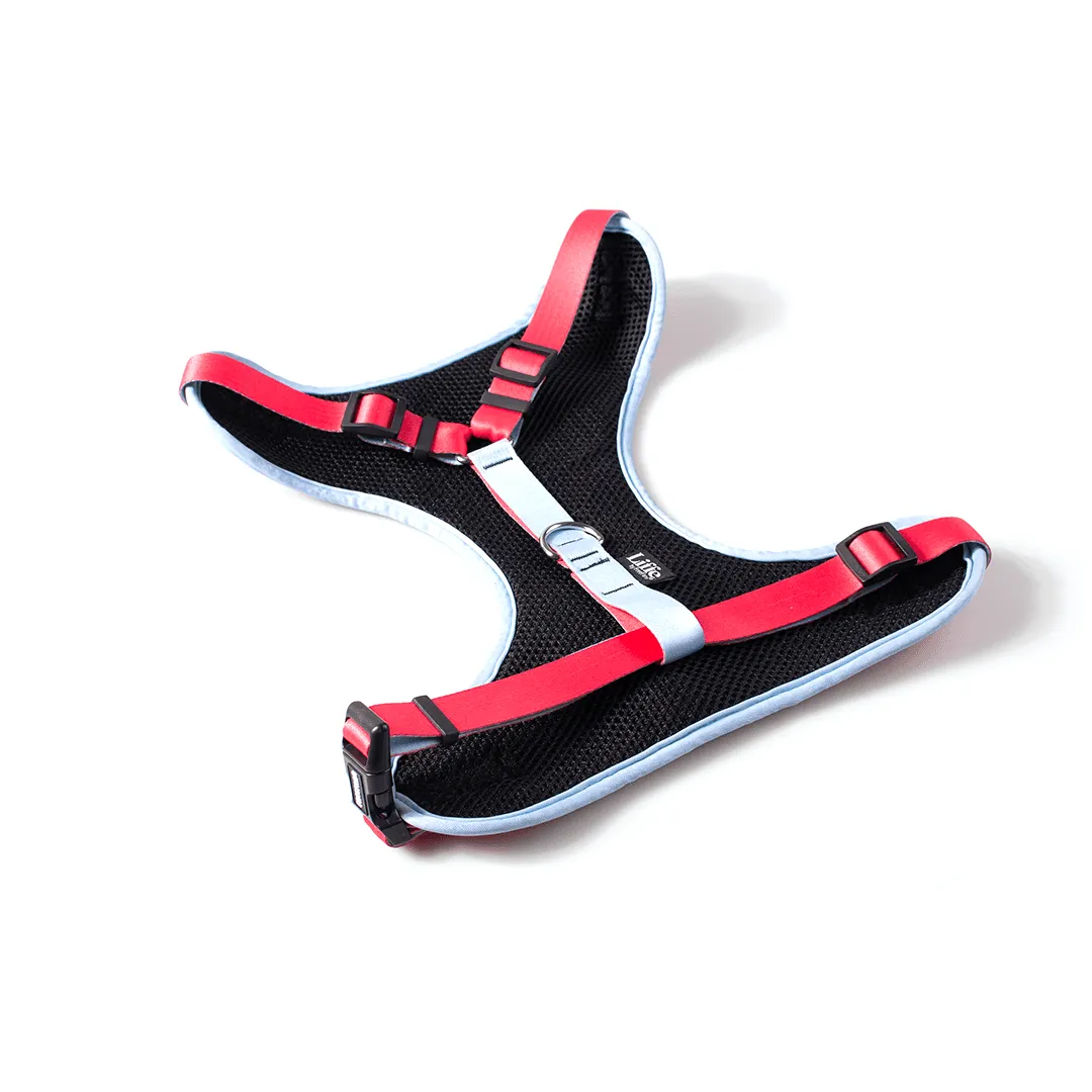 Peitoral Air Imaginário - Imagem 3