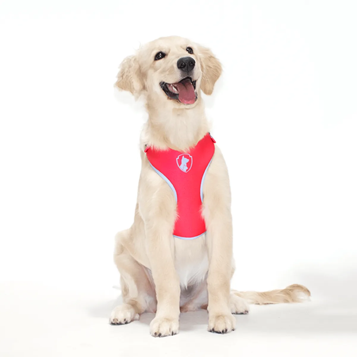 Peitoral Air Imaginário - Imagem 2