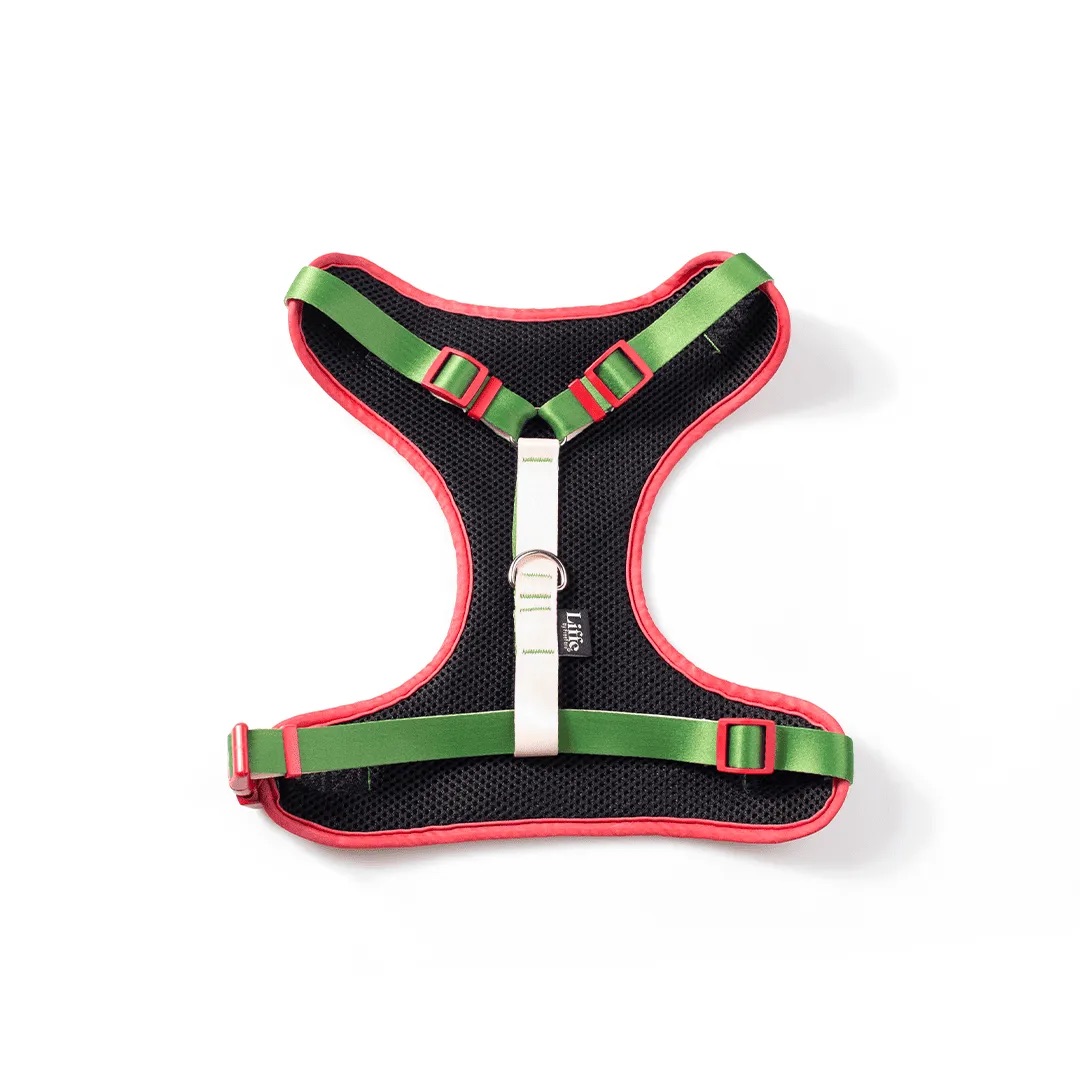 Peitoral Air Ventura - Imagem 2