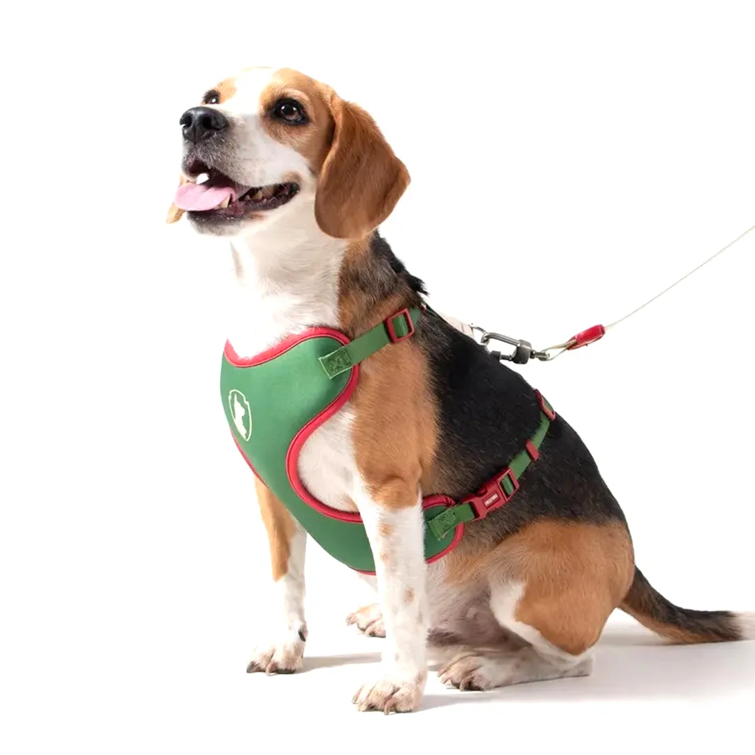 Peitoral Air Ventura - Imagem 3