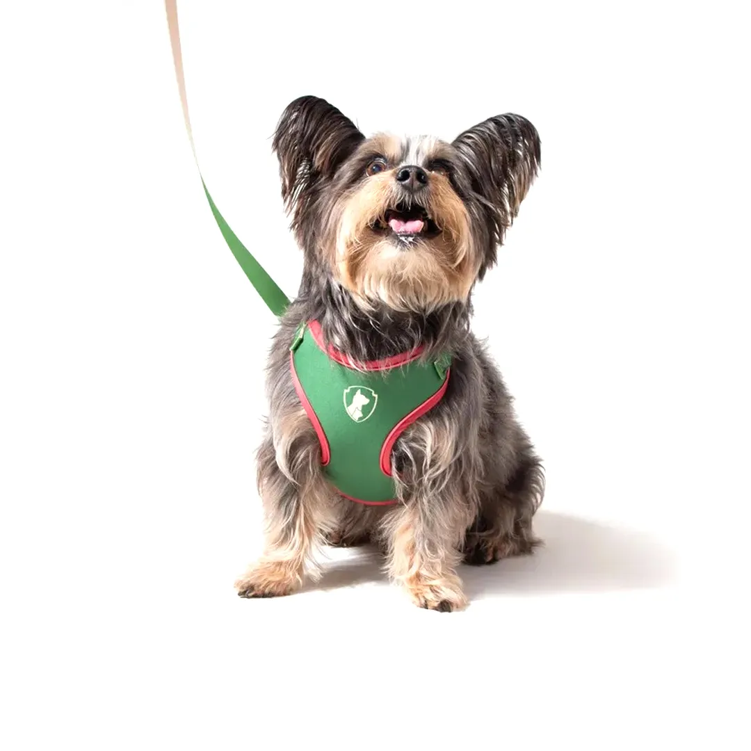 Peitoral Air Ventura - Imagem 4